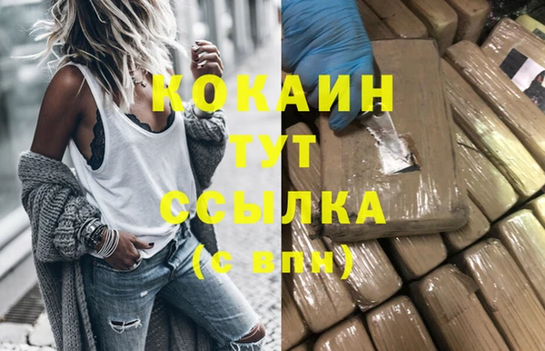 дурь Бородино
