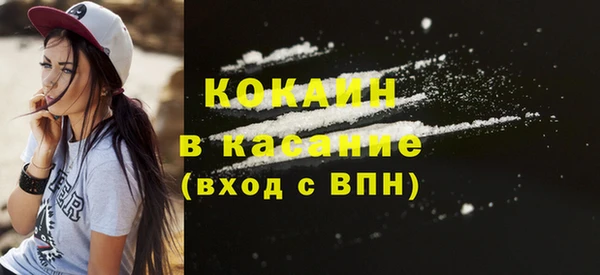 дурь Бородино