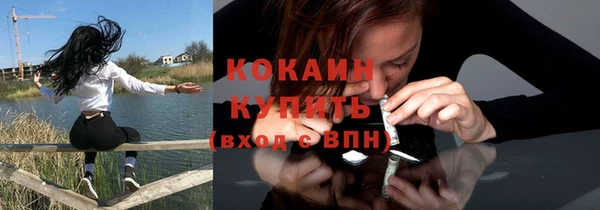 дурь Бородино