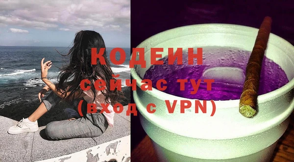 дурь Бородино
