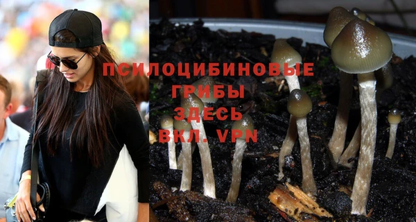 PSILOCYBIN Бугульма