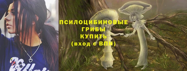 дурь Бородино